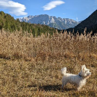 biggaeh@muenchen.social