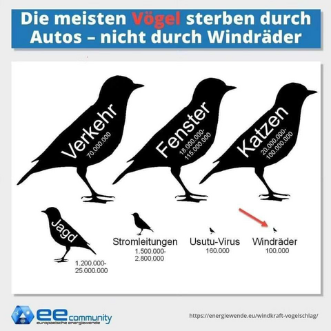 Graphik: Die meisten Vögel sterben durch Autos - nicht durch Windräder