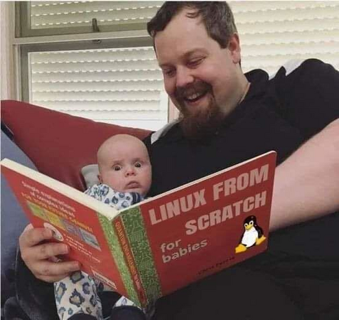 Man showing a baby a book called “Linux from scratch - for babies”