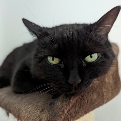 kaffchris@muenchen.social