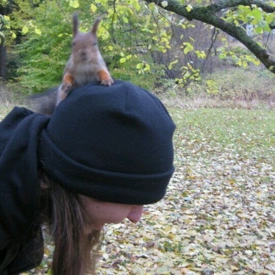 painting_squirrel@muenchen.social