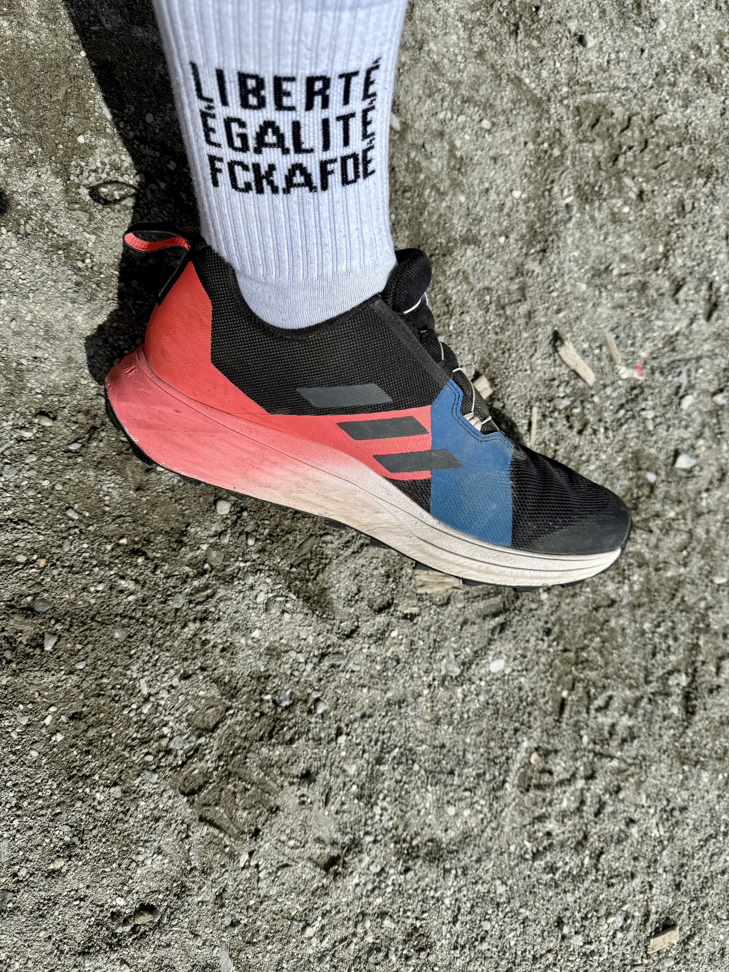 The image shows a close-up of a person's foot wearing a black, red, and blue athletic shoe with a thick sole. The shoe features a prominent red and blue design on the side, with black stripes. The sock is white with black text that reads "LIBERTÉ ÉGALITÉ FCKAFDE." The background is a rough, grayish ground surface, possibly dirt or gravel, with small pebbles scattered around. The shoe appears to be worn, with some dirt on the sole, indicating recent use. The overall composition focuses on the shoe and sock, with the ground providing a contrasting texture.

Provided by @altbot, generated privately and locally using Ovis2-8B

🌱 Energy used: 0.193 Wh