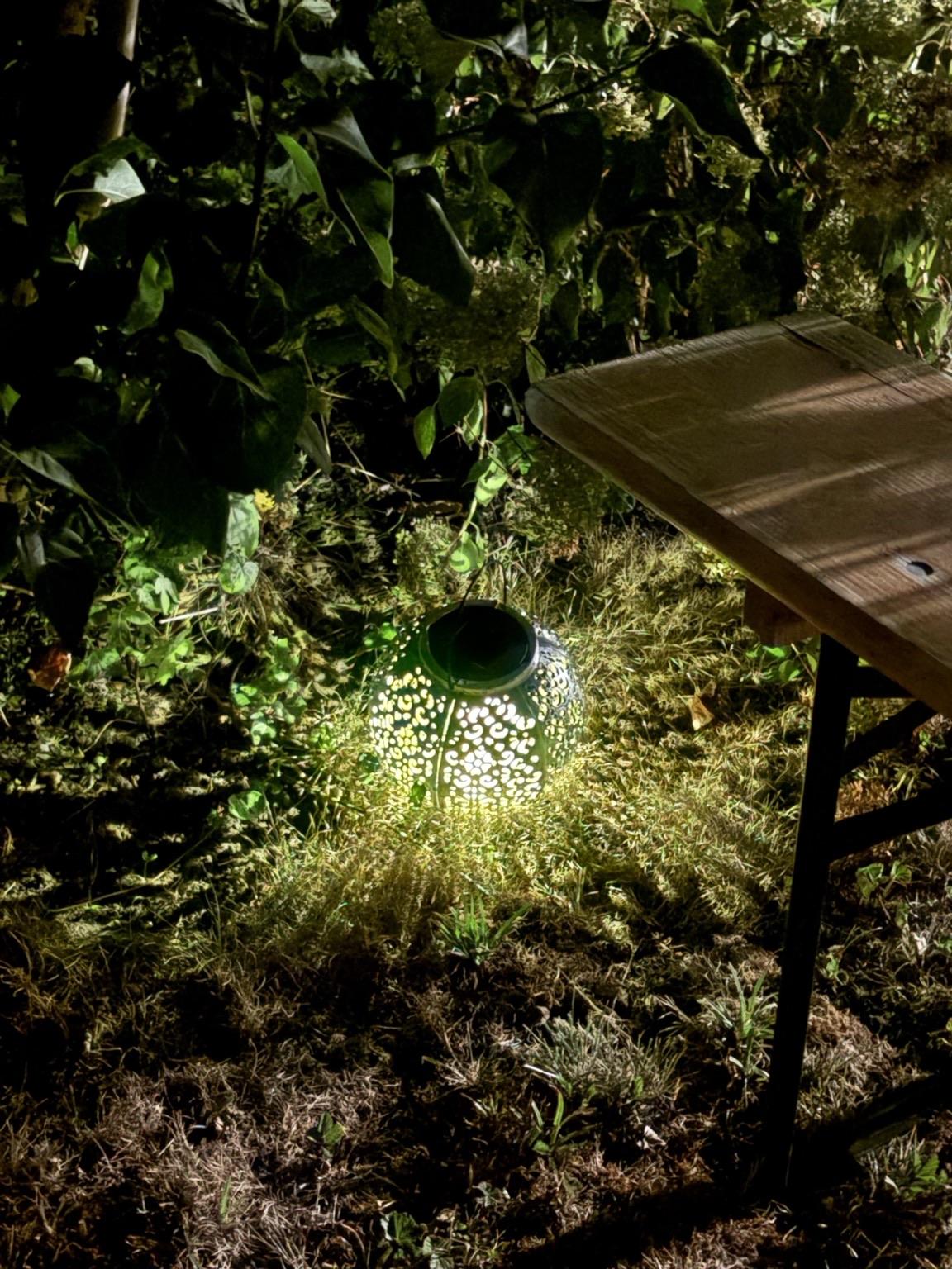 A decorative lantern with intricate patterns casts a warm glow on the ground, surrounded by greenery in a nighttime setting. A wooden table is partially visible in the background.