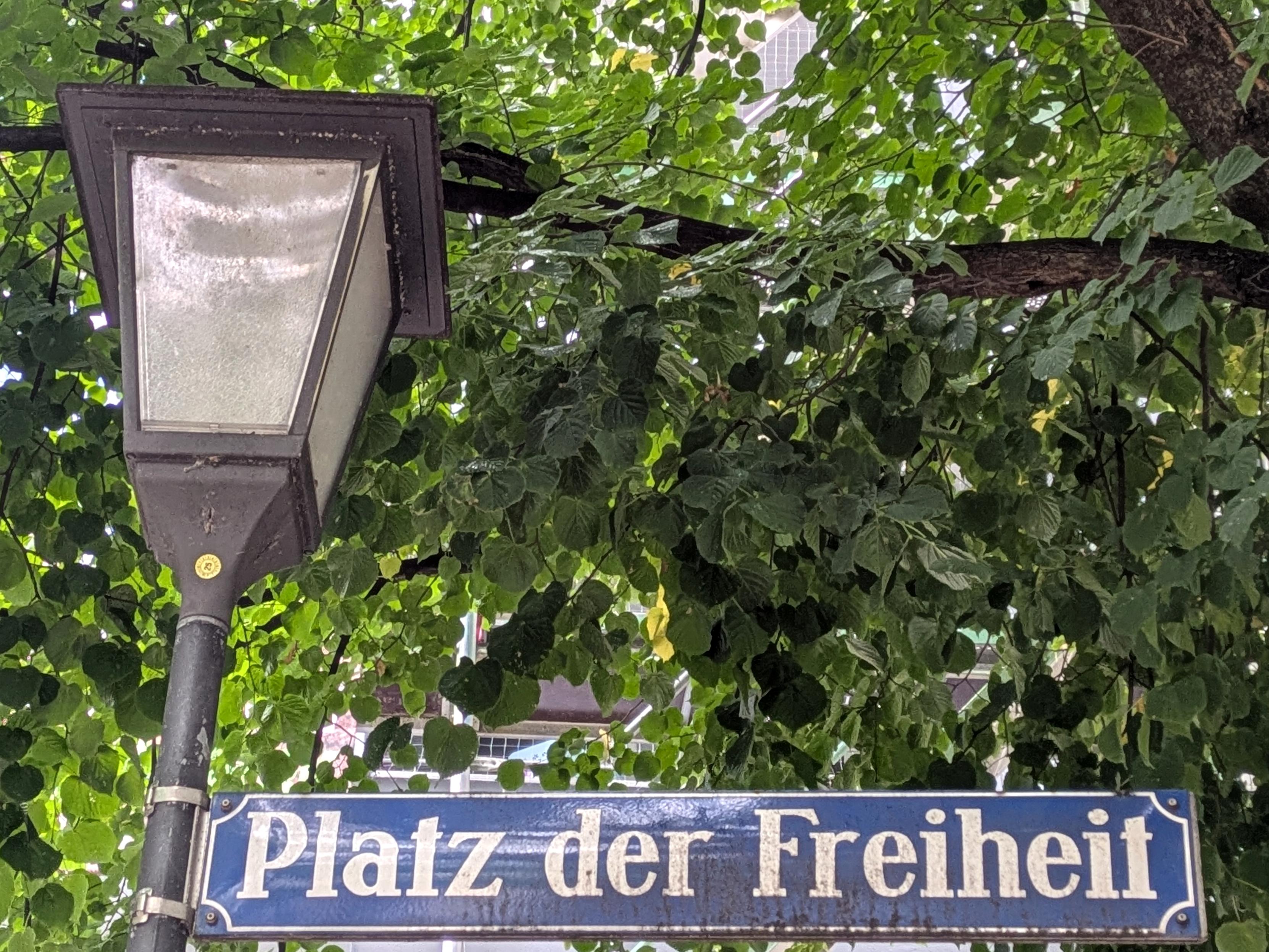 Unter dem nassen Blätterdach einer Linde sieht man eine eckige Straßenlaterne mit weißem Glas an dunklem Metall. Am Pfosten der Laterne ist ein typisches Münchner Straßenschild mit dem Namen "Platz der Freiheit" angebracht. Es trägt die weißen Serifen-Buchstaben auf blauem Grund und eine weiße Randlinie mir nach innen abgerundeten Ecken. Durch die grünen Blätter hindurch sind Gebäude der Randbebauung zu erkennen.